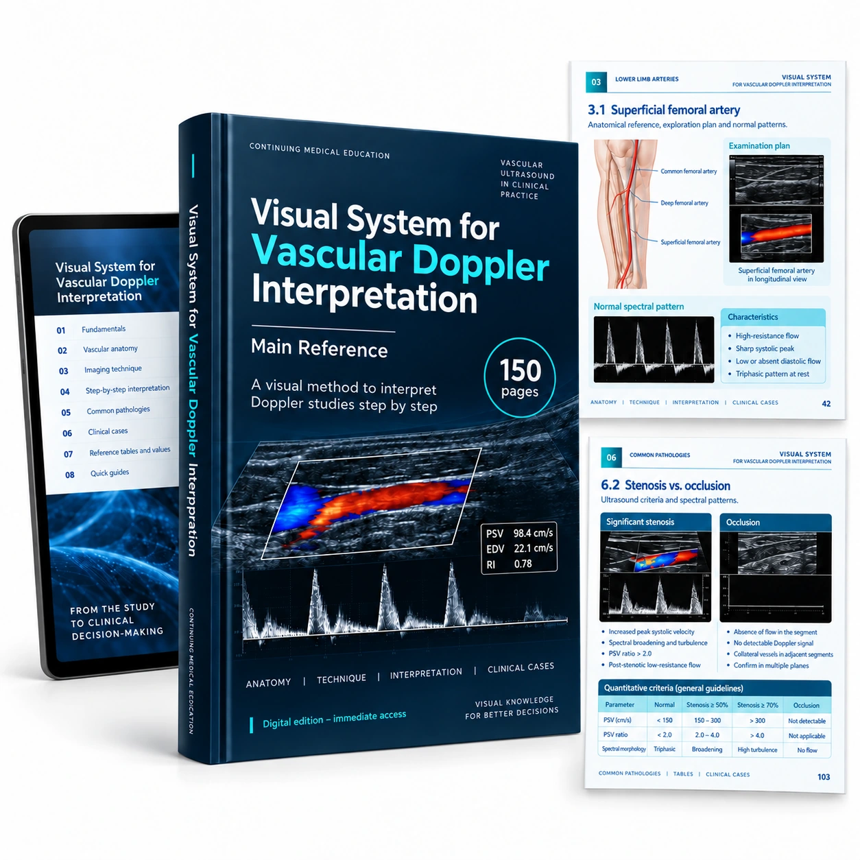 Digital mockup: Visual System for Vascular Doppler Interpretation