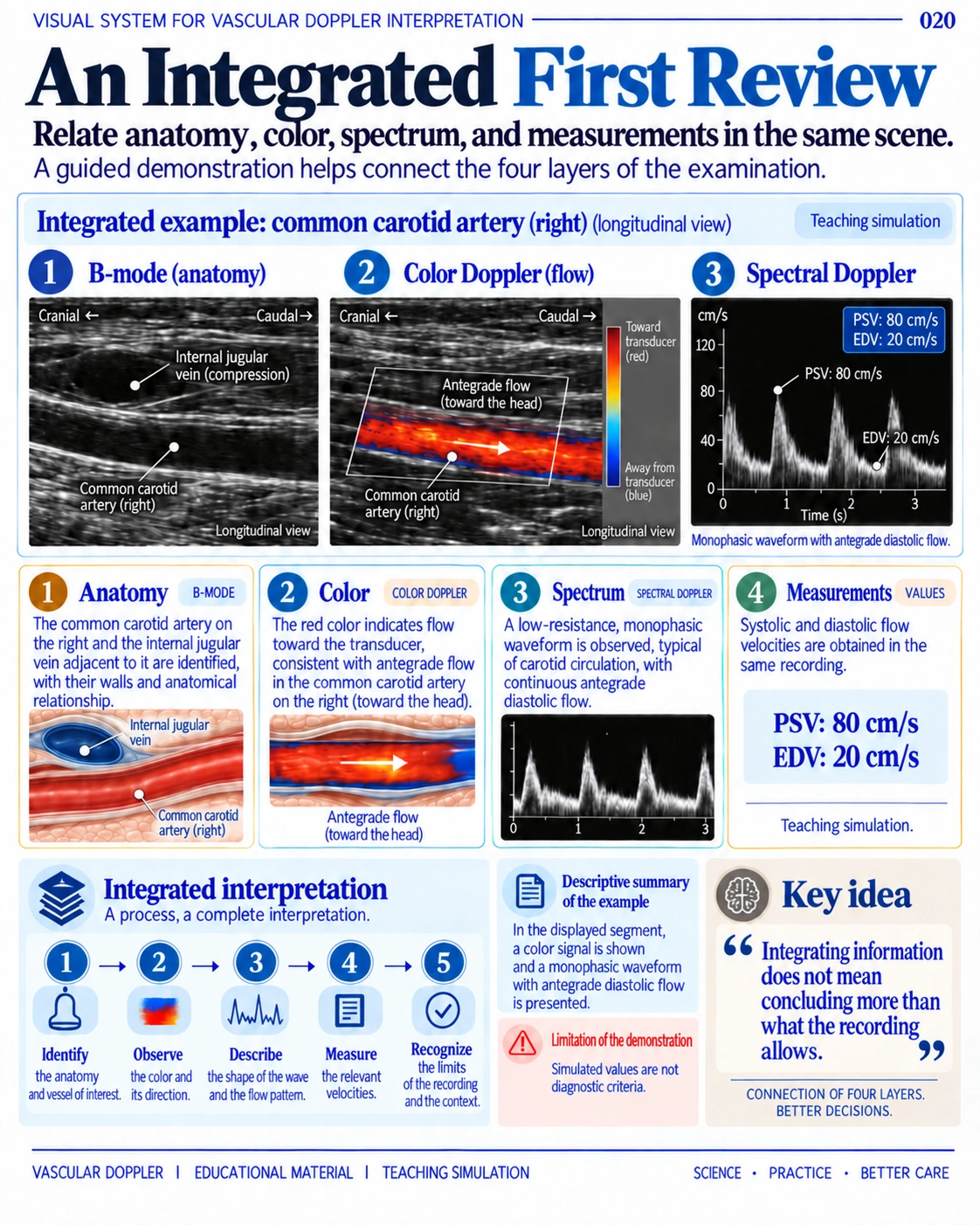 Visual System preview: an integrated first review of anatomy, B-mode, color Doppler, spectral waveforms, and measurements.